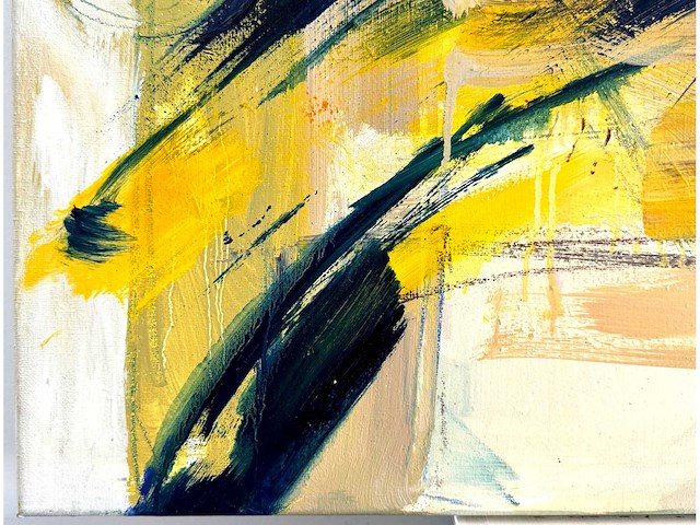 Ann speybrouck - feel the sunshine - mixed media op doek - 70x100 cm - afbeelding 7 van  12