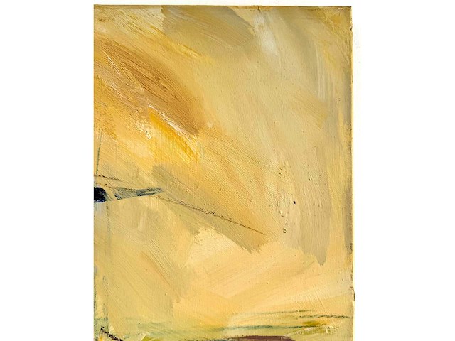 Ann speybrouck - feel the sunshine - mixed media op doek - 70x100 cm - afbeelding 9 van  12