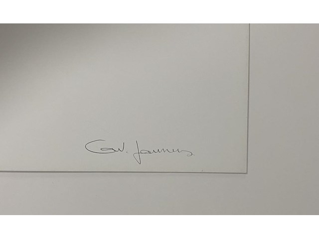 Ann veronica janssens - eclipse gesigneerd - afbeelding 2 van  2