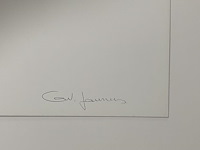 Ann veronica janssens - eclipse gesigneerd - afbeelding 2 van  2