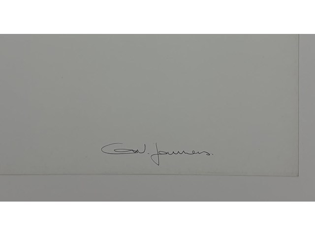 Ann veronica janssens - eclipse gesigneerd - afbeelding 2 van  2