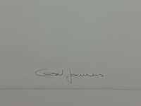 Ann veronica janssens - eclipse gesigneerd - afbeelding 2 van  2