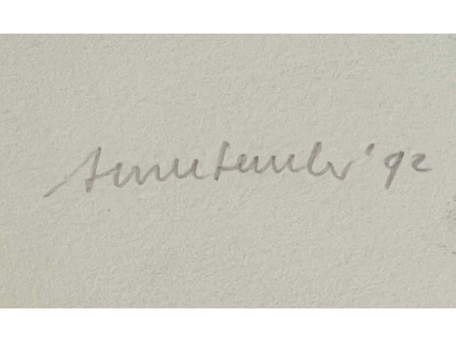 Anne semler - kleurenzeefdruk - afbeelding 4 van  8