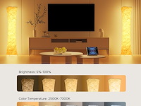 Antenlicht rgb vloerlamp - afbeelding 3 van  6