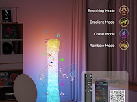 Antenlicht rgb vloerlamp - afbeelding 5 van  6