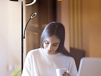 Antenlicht staande lamp led dimbaar - afbeelding 4 van  6