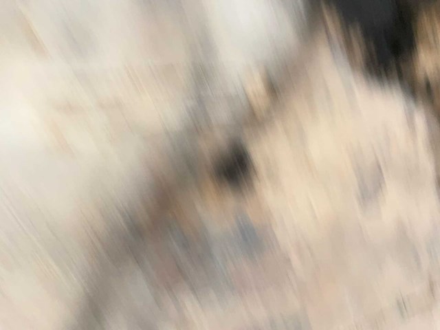 Antiek schilderij - afbeelding 5 van  14