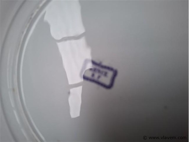 Antieke borden - afbeelding 5 van  7