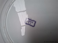 Antieke borden - afbeelding 5 van  7