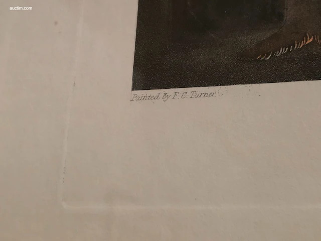 Antieke engelse kleurengravure f.c. turner "the... - afbeelding 3 van  3