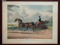 Antieke gravure "lord william"