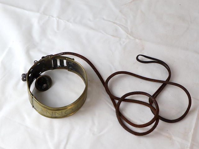 Antieke halsband hond - afbeelding 2 van  8