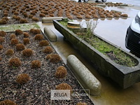 Antieke voederbak - afbeelding 3 van  3