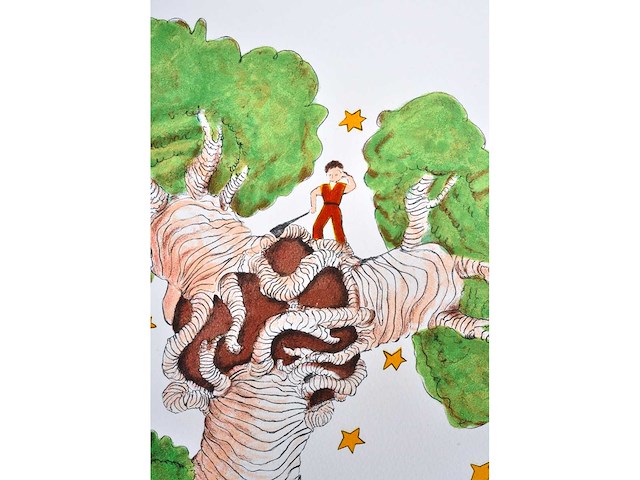 Antoine de saint exupery - le petit prince - litho - afbeelding 5 van  5