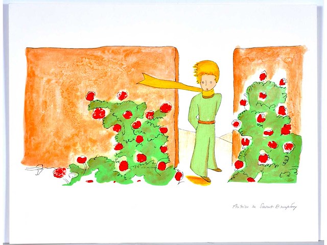 Antoine de saint exupery - le petit prince - litho - afbeelding 2 van  5