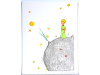 Antoine de saint exupery - le petit prince - litho - afbeelding 2 van  5