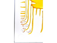 Antoine de saint exupery - le petit prince - litho - afbeelding 4 van  5