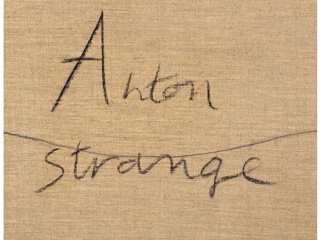 Anton vrede - strange relationship- olie op doek - 95x125 cm - 1987 - afbeelding 10 van  18