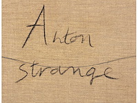 Anton vrede - strange relationship- olie op doek - 95x125 cm - 1987 - afbeelding 10 van  18