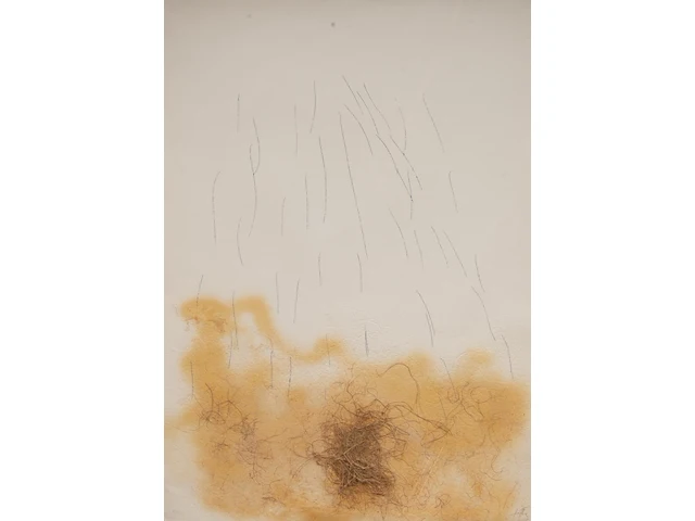 Antoni tapiès (1923-2012), 'le crin', etching, n° 62/75 (+) 90 x 63.5 cm. (35.42 x 25 in.), frame: 113 x 86 cm. (44.49 x 33.85 in.) - afbeelding 1 van  6