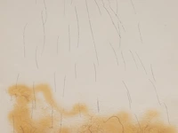 Antoni tapiès (1923-2012), 'le crin', etching, n° 62/75 (+) 90 x 63.5 cm. (35.42 x 25 in.), frame: 113 x 86 cm. (44.49 x 33.85 in.)