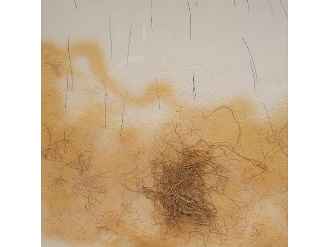 Antoni tapiès (1923-2012), 'le crin', etching, n° 62/75 (+) 90 x 63.5 cm. (35.42 x 25 in.), frame: 113 x 86 cm. (44.49 x 33.85 in.) - afbeelding 6 van  6