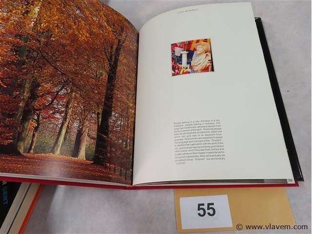 Antwerp - afbeelding 2 van  3