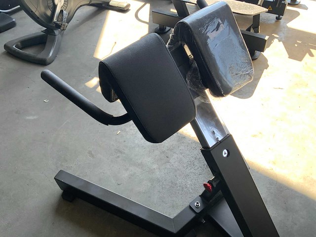 Ap black hyperextension krachtstation - afbeelding 4 van  5