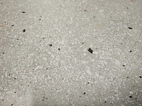 Ape ama grigio mat wandtegel 40x120 cm 40,8 m² - afbeelding 4 van  9