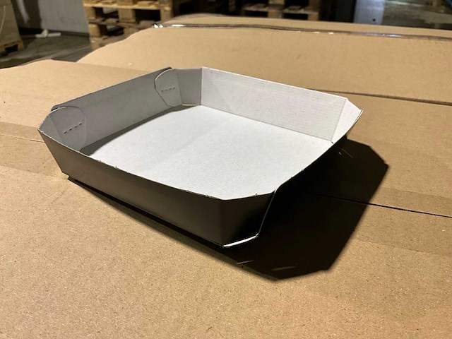Apple big aldi kartonnen verpakkingschaaltjes (9000x) - afbeelding 1 van  5