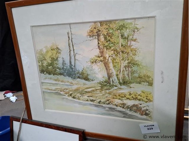 Aquarel - afbeelding 1 van  1