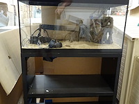 Aquarium askoll op houten meubel - afbeelding 1 van  6