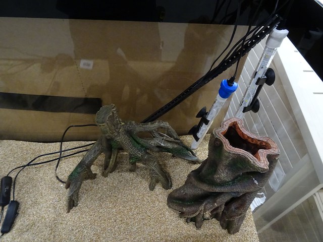 Aquarium askoll op houten meubel - afbeelding 5 van  6
