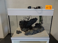 Aquarium askoll op houten meubel - afbeelding 3 van  4