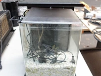 Aquarium superfish