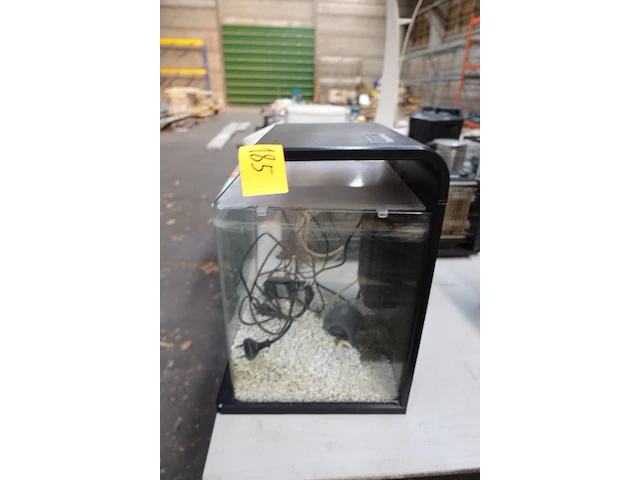 Aquarium superfish - afbeelding 2 van  4