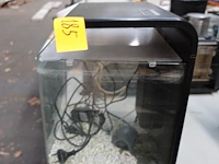 Aquarium superfish - afbeelding 2 van  4