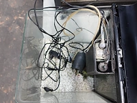 Aquarium superfish - afbeelding 4 van  4