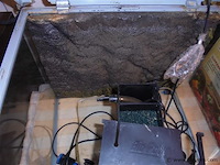 Aquarium - afbeelding 2 van  2