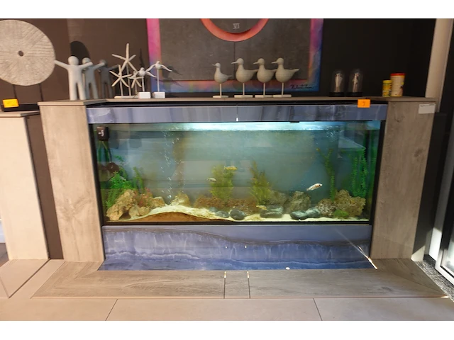 Aquarium - afbeelding 1 van  3