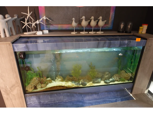 Aquarium - afbeelding 2 van  3