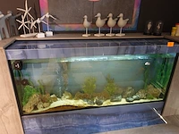 Aquarium - afbeelding 2 van  3