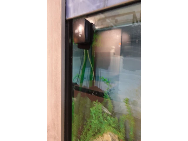 Aquarium - afbeelding 3 van  3