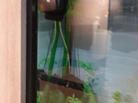 Aquarium - afbeelding 3 van  3