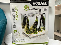 Aquel shrimp set smart aquarium - afbeelding 4 van  4