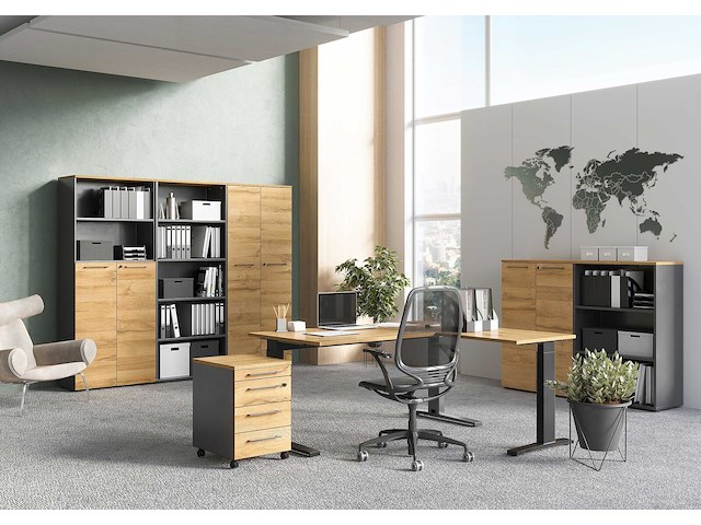 Archiefkast osmond 80cm met 2 deuren - eik/grafiet - afbeelding 4 van  9