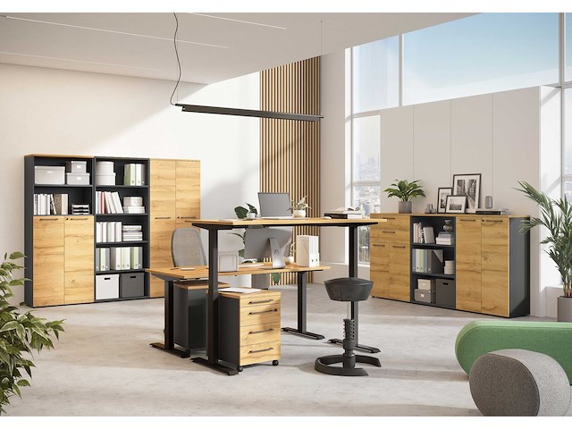 Archiefkast osmond 80cm met 2 deuren - eik/grafiet - afbeelding 5 van  9