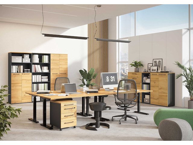 Archiefkast osmond 80cm met 2 deuren - eik/grafiet - afbeelding 6 van  9
