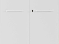Archiefkast osmond 80cm met 2 deuren - lichtgrijs - afbeelding 1 van  9