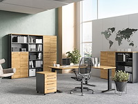 Archiefkast osmond 80cm met 2 deuren & 2 open vakken - eik/grafiet - afbeelding 4 van  7